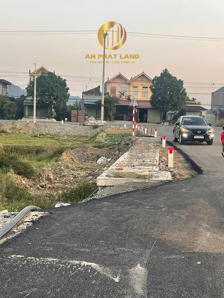 Đất nền liền kề khu đấu giá Đồng Nổ Lạc Vân, Nho Quan, 193m² - Cơ hội đầu tư hấp dẫn!