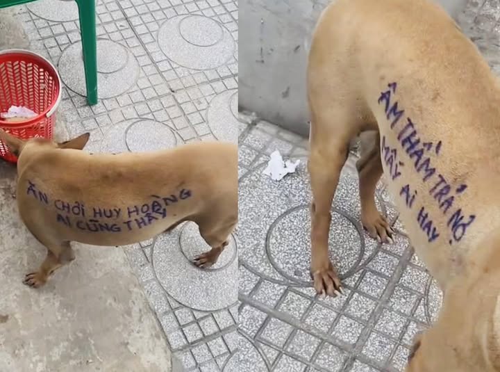 Đất nền Phước Thuận, Xuyên Mộc 312m² giá 1,5 tỷ - Đầu tư sinh lời ngay!