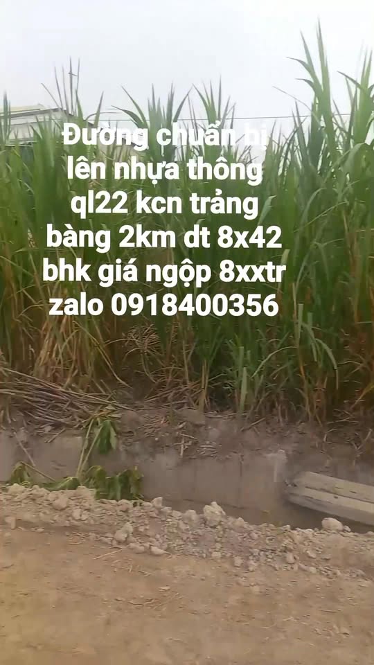 Đất nền 336m² khu phố Tịnh Phong, An Tịnh, giá chỉ 800 triệu - Sổ hồng chính chủ!