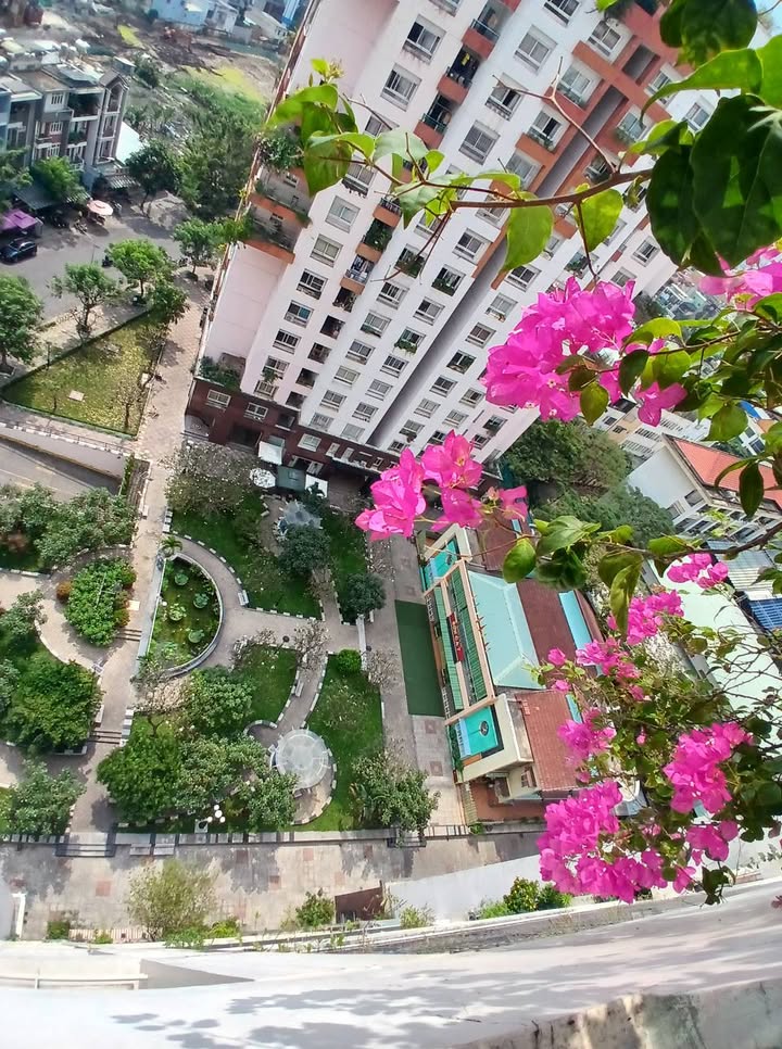 Căn hộ Chung cư Thái An Nguyễn Văn Quá 99m² giá 4.19 tỷ - Nơi an cư lý tưởng!