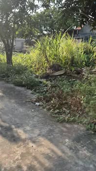 Đất nền 248m² tại Khánh Thủy, Yên Khánh chỉ 600 triệu - Đường ô tô vào thoải mái!