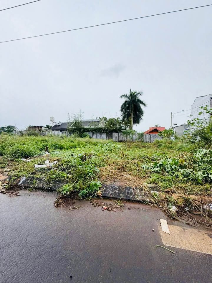 Đất thổ cư 125m² tại khu đấu giá Lê Vụ, Buôn Ma Thuột - Giá tốt đầu tư!