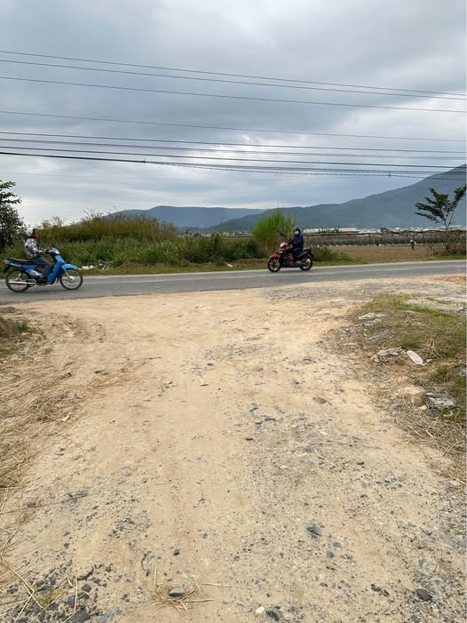 Đất nông nghiệp xã D'Ran 1ha giá 600 triệu - Đầu tư sinh lời ngay!