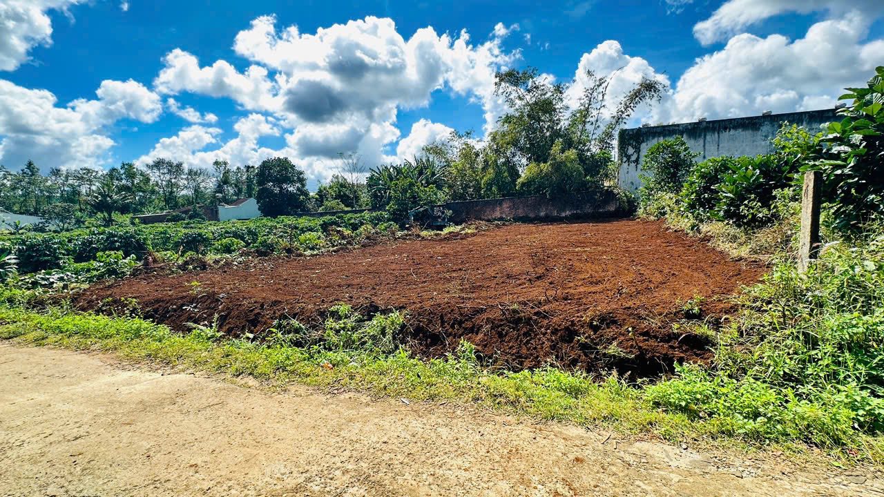 Đất thổ cư phường Hội Phú, Pleiku 480m² giá 9.6 tỷ - Đầu tư sinh lời ngay!