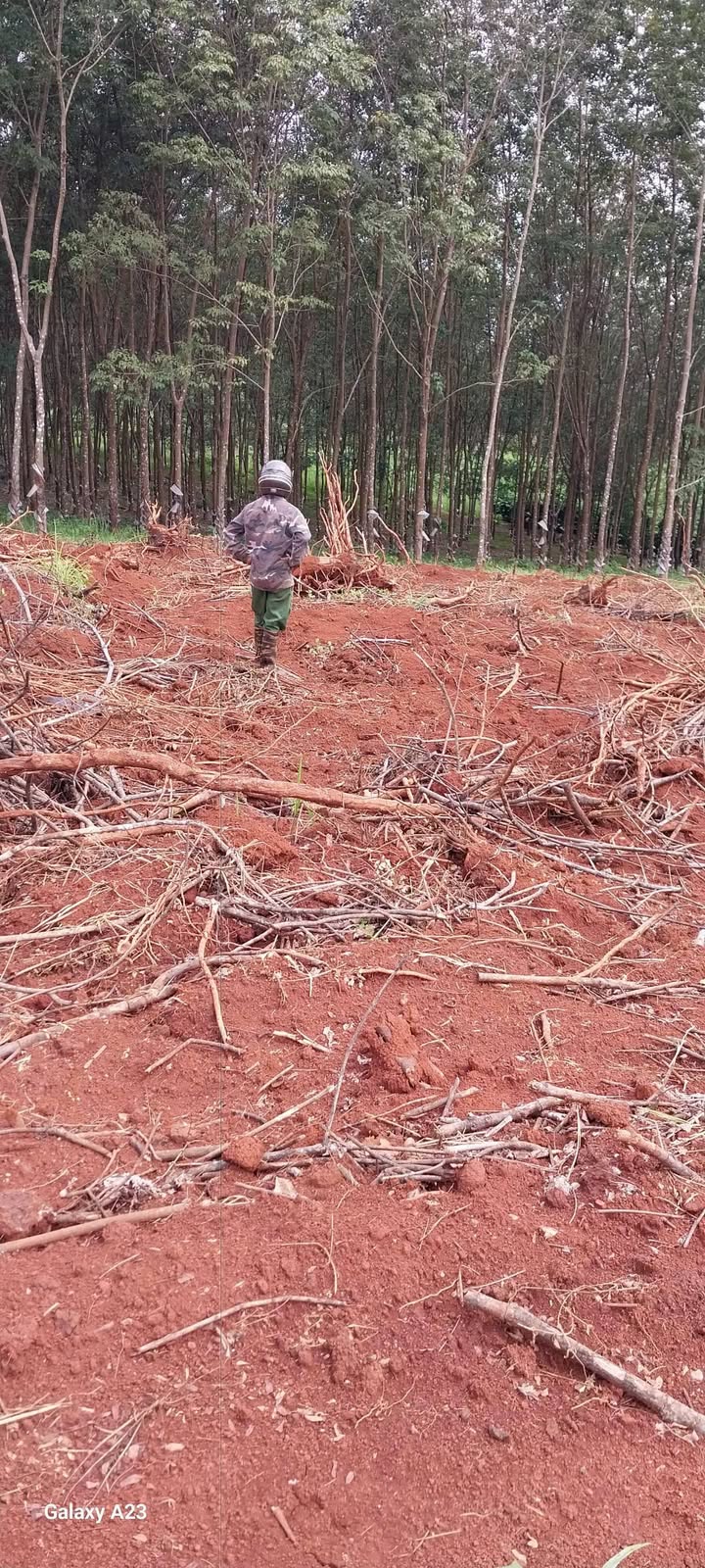 Đất nền chính chủ xã Ia Boòng, Chư Prông, Gia Lai 19.575m² - Giá chỉ 1.95 tỷ, thương lượng nhẹ!