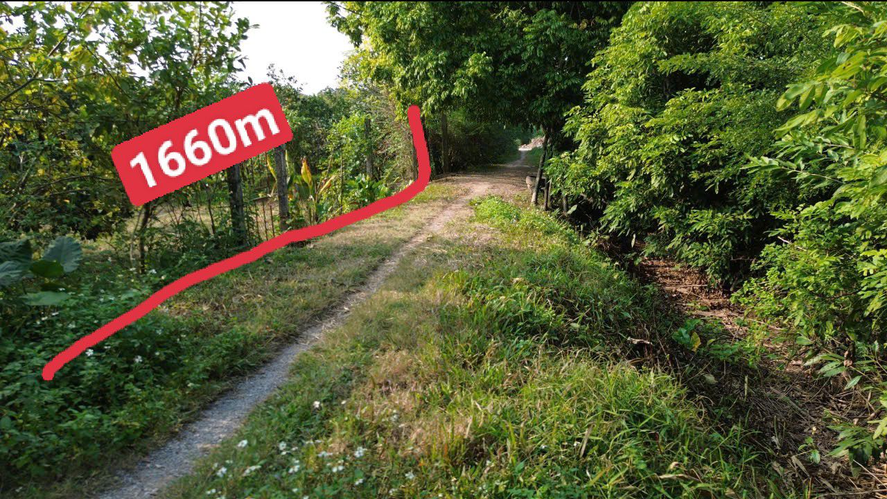 Đất vườn 1660m² tại Đại Hưng, Mỹ Đức - Giá chỉ 2 tỷ, cơ hội đầu tư tuyệt vời!