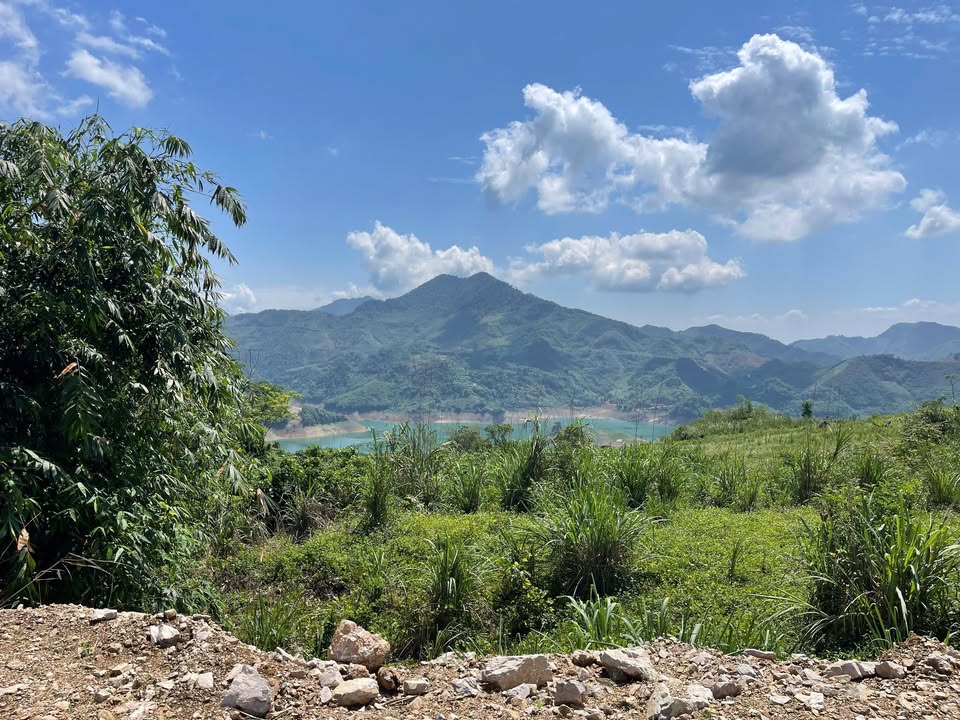 Đất trồng cây lâu năm Hiền Lương 2100m² - Mặt tiền 60m đẹp, view hồ thoáng đãng!