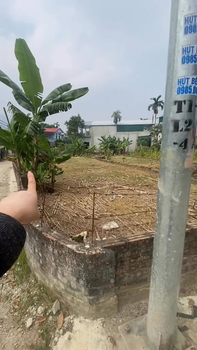 Đất nền lô góc 2 mặt tiền tại Thôn Cố Đụng, Tiến Xuân, 255m² - Cơ hội đầu tư tuyệt vời!