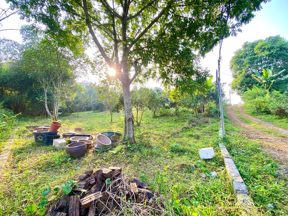 Đất vườn 2400m² tại Hòa Thạch, Quốc Oai - Giá chỉ 4 triệu/m²!