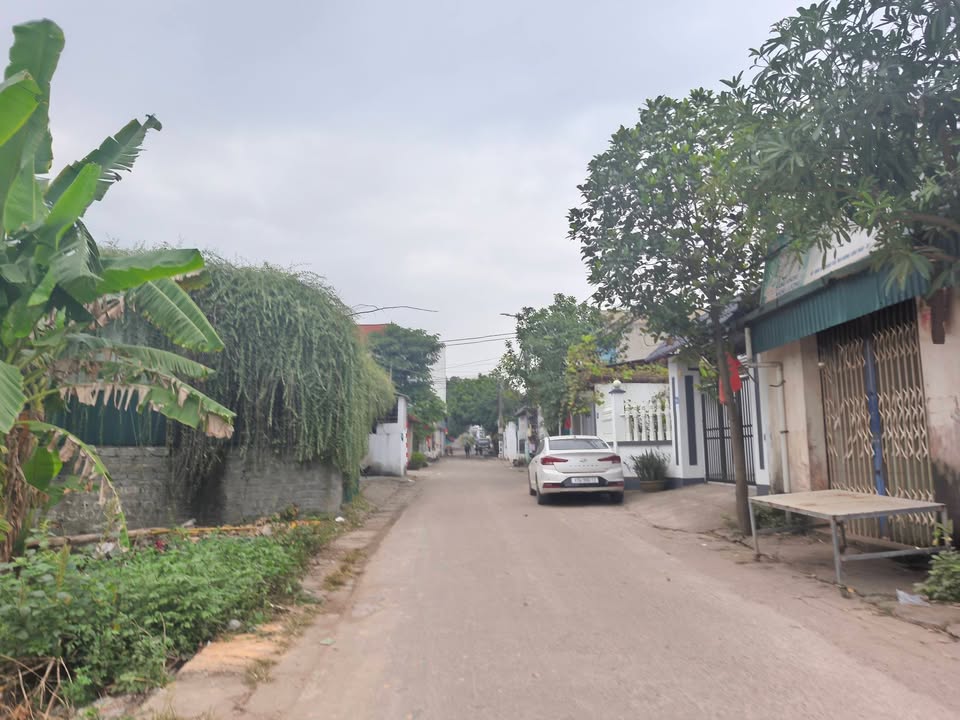 Đất thổ cư Nhân Mỹ, Thanh Vân, Tam Dương 100m² giá chỉ 1.3 tỷ - Cơ hội vàng cho đầu tư!