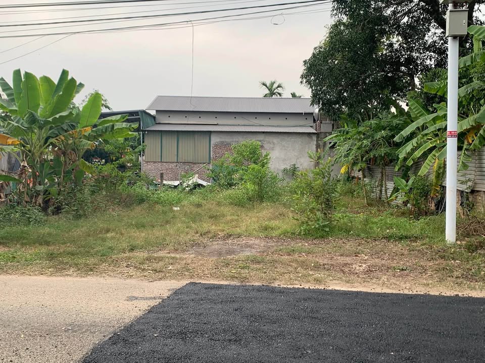 Đất nền Kim Long, Tam Dương 209m² giá 2 tỷ - Sổ đỏ chính chủ, đầu tư hấp dẫn!