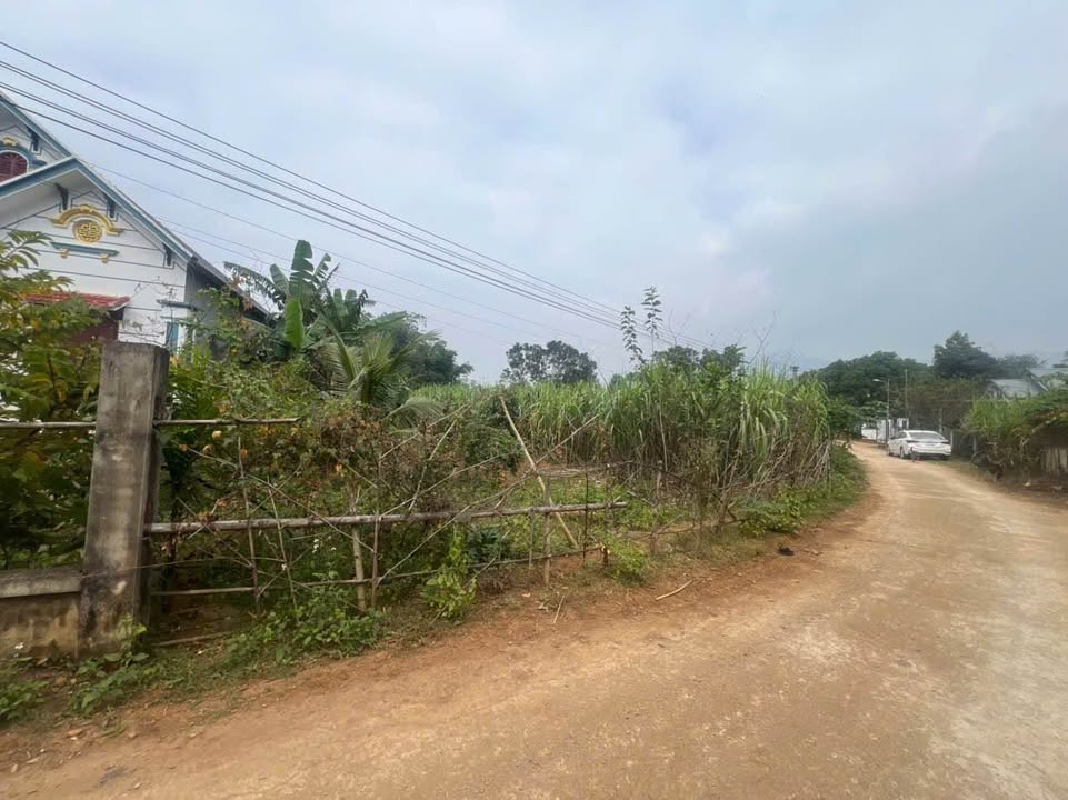 Đất nền Nguyệt Ấn Ngọc Lặc 1550m² giá chỉ 1 tỷ - Cơ hội đầu tư tuyệt vời!