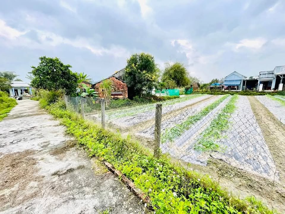 Đất nền Bình Chánh Thăng Bình 150m² giá chỉ 200 triệu - Sổ hồng đầy đủ!