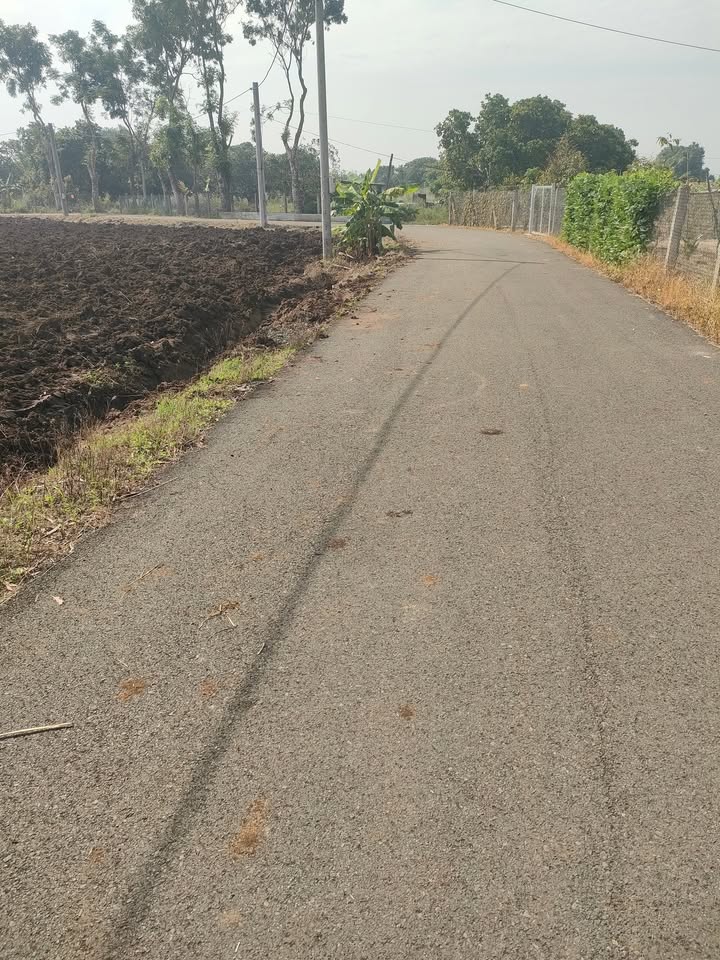 Đất nền 1.200m² tại Suối Rao, Châu Đức - Sổ hồng riêng, giá chỉ 1.2 tỷ!