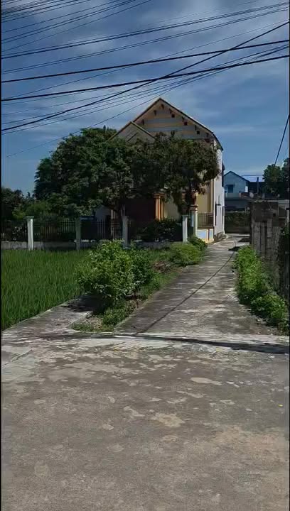 Đất thổ cư Nghĩa Thái 117m² giá 1 tỷ - Hướng Nam đón tài lộc!