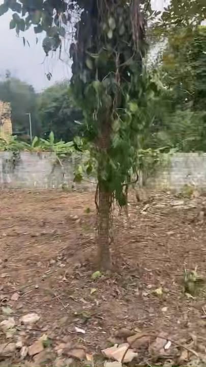 Đất Farm 1560m² tại Thị trấn Lương Sơn, Hòa Bình - Không khí trong lành, giá thỏa thuận!