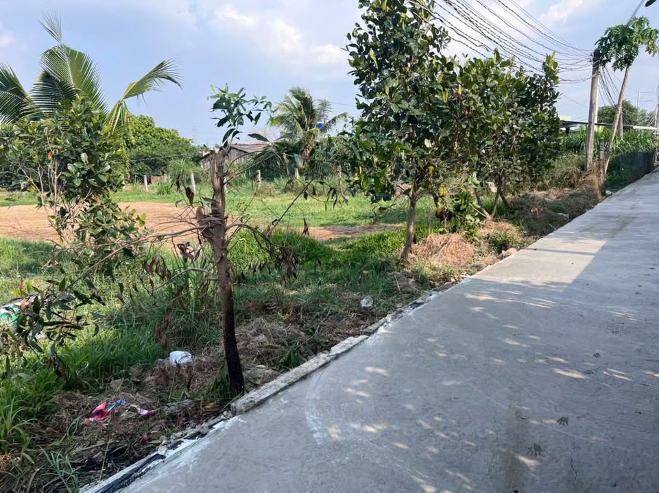 Đất nền Bình Quới, Châu Thành, Long An 450m² giá 770 triệu - Cơ hội đầu tư hấp dẫn!