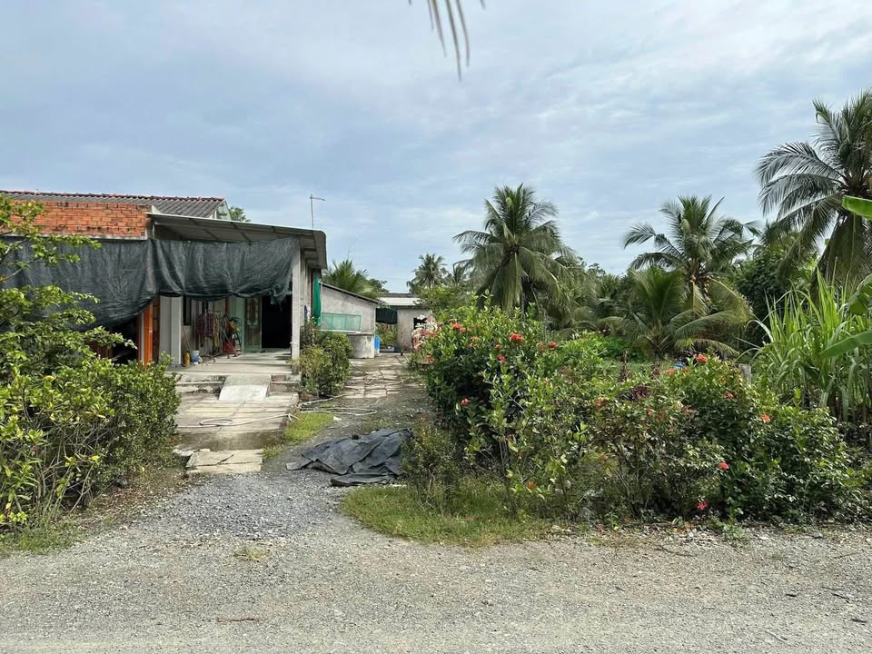 Đất mặt tiền Đá Xanh Tân An 120m² giá 860 triệu - Cơ hội đầu tư hấp dẫn!