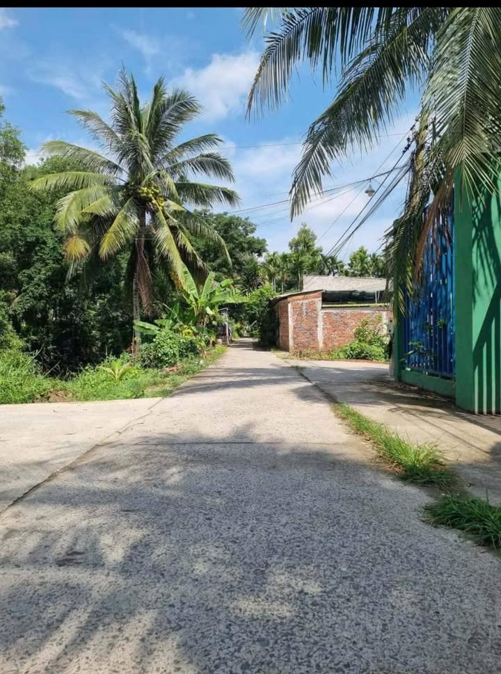 Bán đất Hữu Định, Phú Tân, Bến Tre 118.7m² chỉ 550 triệu - Đầu tư sinh lời!