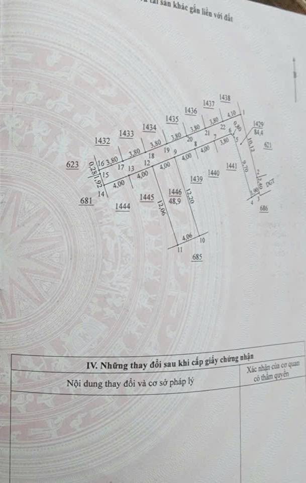 Đất Tân Lập, Đan Phượng 48.9m² giá 4 tỷ - Đầu tư sinh lời ngay!