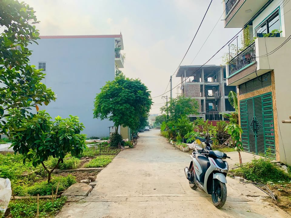 Đất nền 150m² Lại Yên - Hoài Đức giá chỉ 15 tỷ - Đầu tư sinh lời tiềm năng!