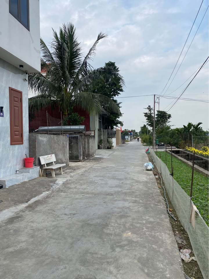 Lô đất đẹp Quốc Tuấn, An Dương 50m² giá 1.2 tỷ - Vị trí sáng, tiện ích đầy đủ!