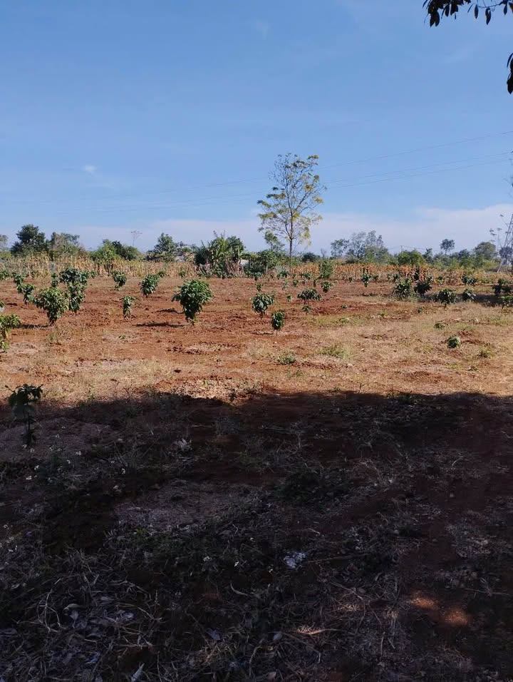 Đất nền 3.500m² xã Ea M'nang, Cư M'gar chỉ 690 triệu - Sổ đỏ chính chủ, vị trí đẹp!