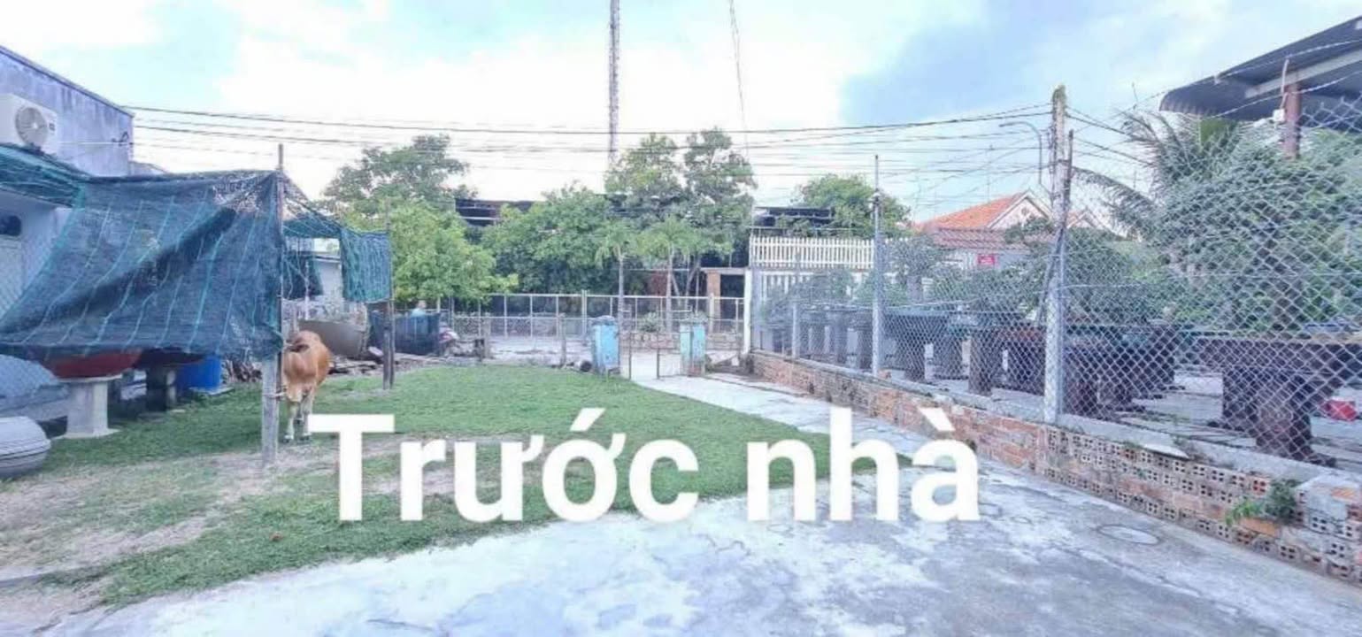 Đất nền gần biển Dốc Lết, Ninh Hòa 267m² giá chỉ 2 tỷ - Cơ hội đầu tư hấp dẫn!