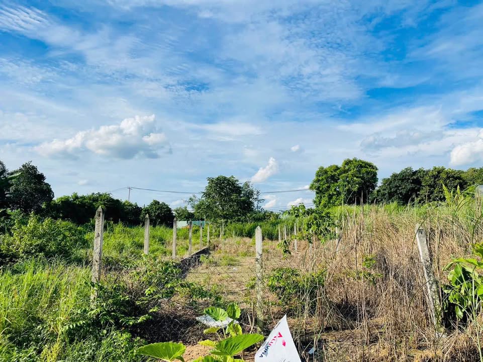 Đất thổ cư chính chủ tại Phước Vĩnh An, Củ Chi - 125m² giá 2.5 tỷ, xây dựng tự do!