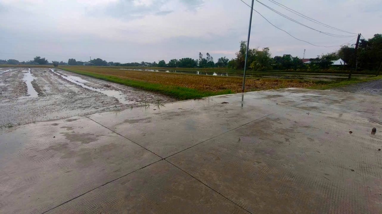 Đất nền 6000m² tại Ấp Giồng Lớn - Giá chỉ 6 tỷ - Sổ hồng riêng chính chủ!