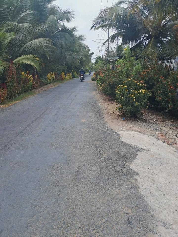 Bán gấp 2 nền đất mặt tiền đường Bờ Cộ, Phường Trung An, TP Mỹ Tho - Đầu tư sinh lời!