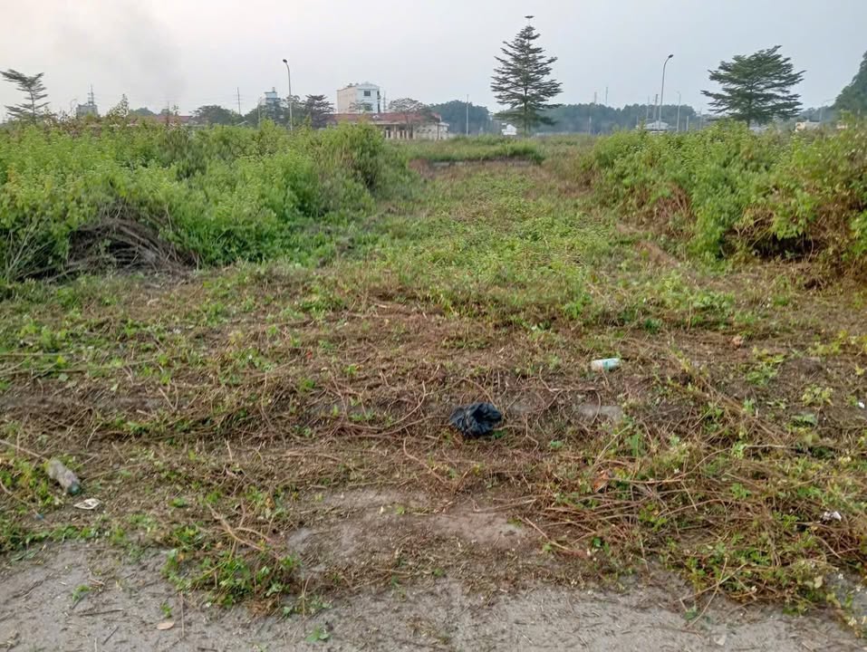 Đất nền TDC Bình Yên 100m² giá 5 tỷ - Đường ô tô tránh nhau, pháp lý rõ ràng!