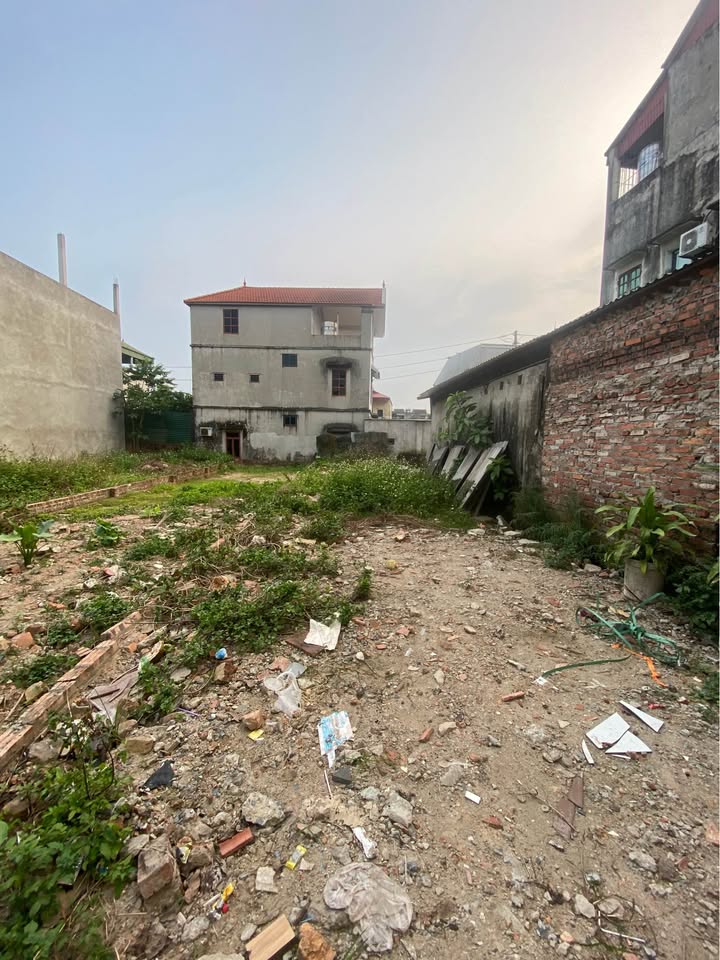 Đất thổ cư Thôn Lương Quy, Xã Thư Lâm 98,2m² - Giá cực tốt chỉ từ 60 triệu/m²!