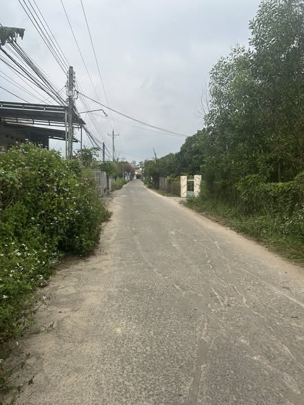 Đất nền hẻm Đinh Bộ Lĩnh, Phước Hội, 184m² giá 1.5 tỷ - Đầu tư sinh lời ngay!