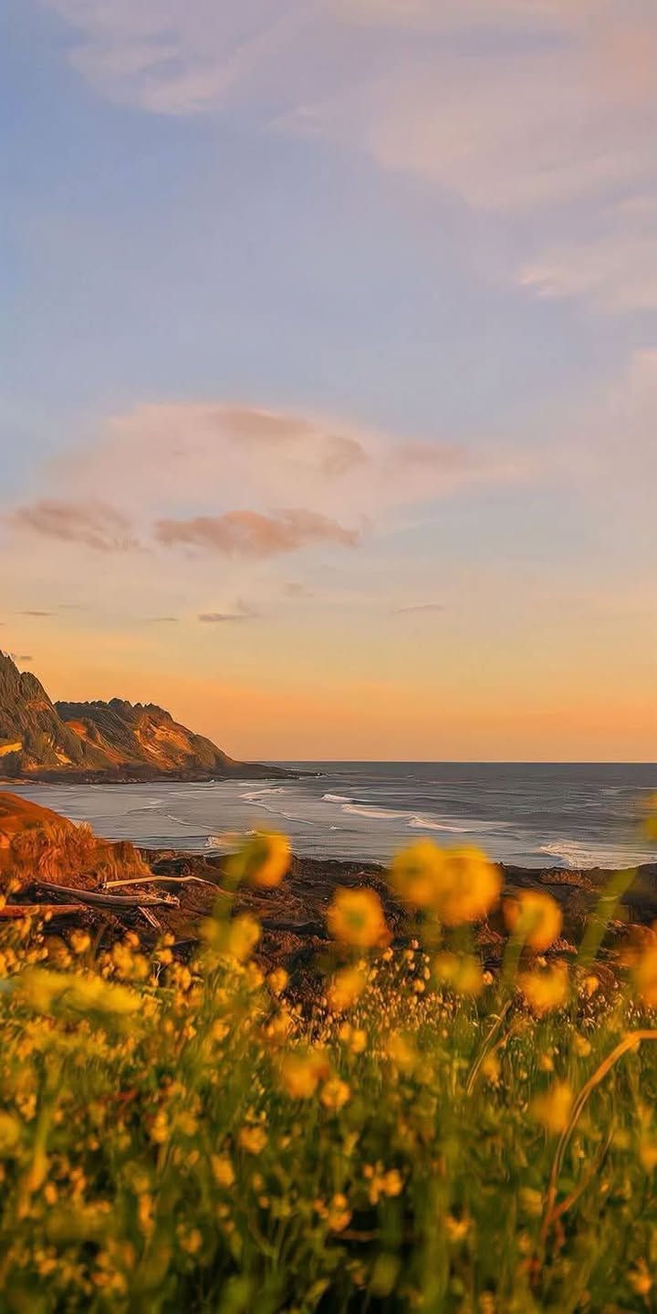 Đất hẻm nhựa Phù Đổng Thiên Vương Đà Lạt 121.2m² giá 8.5 tỷ - Cơ hội đầu tư tuyệt vời!