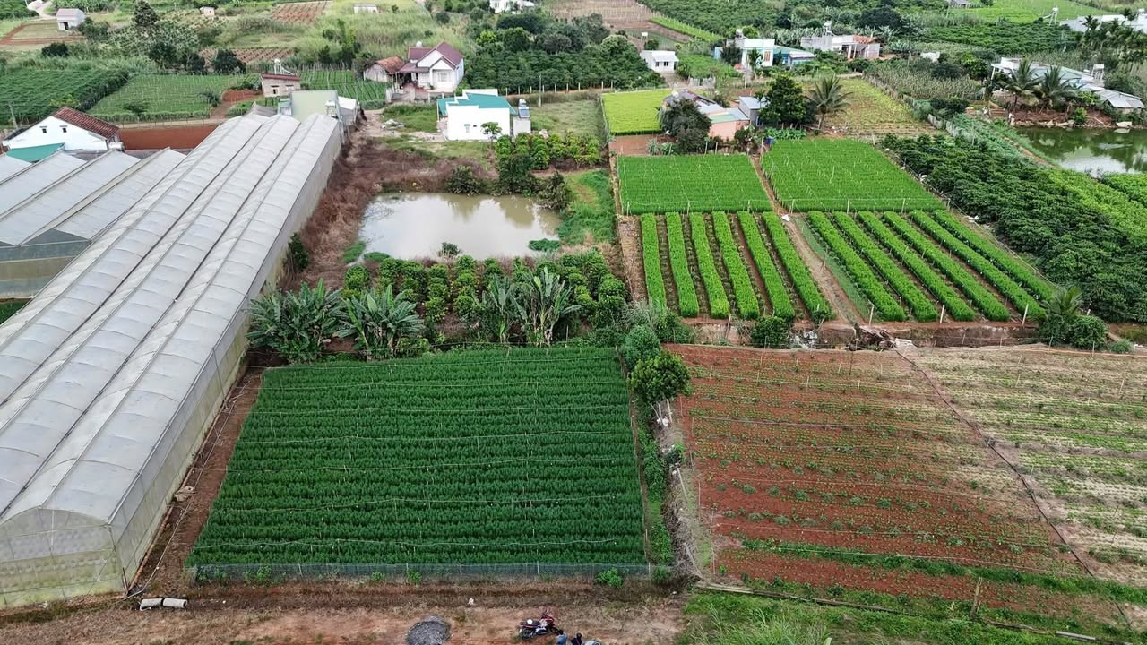 Đất 4288m² 2 mặt tiền Thôn 6, xã Nam Ban, Lâm Hà chỉ 4.7 tỷ - Sẵn nhà mới xây!