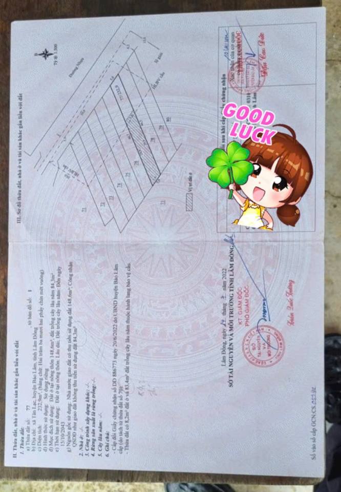 Đất nền mặt tiền đường Âu Cơ, xã Lộc Nga, Bảo Lâm, 253.4m² giá 670 triệu - Cơ hội đầu tư tuyệt vời!