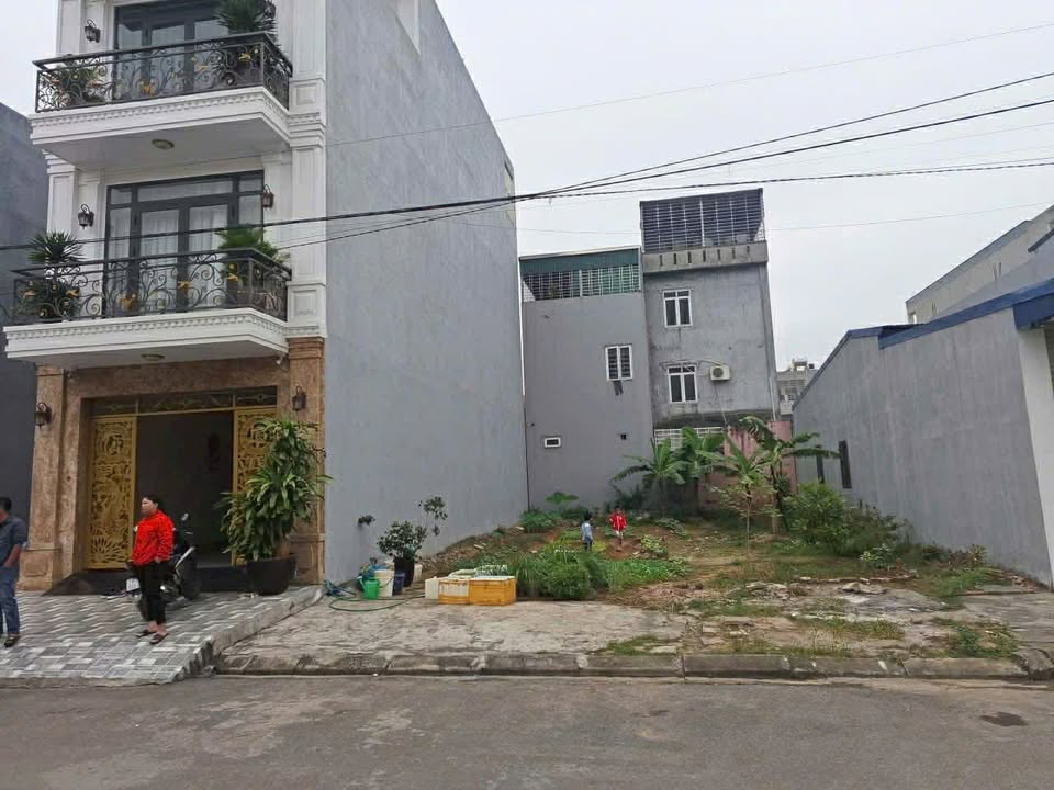 Đất nền đẹp tại TDC Tân Nam, Mỹ Đức, An Lão 85m² - Gần chợ và trường học!