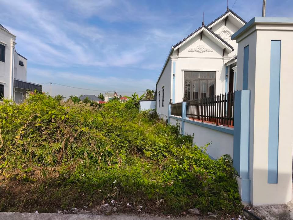 Đất nền Đúc Hậu, Đồ Sơn 124m² giá chỉ 1.788 tỷ - Đầu tư sinh lời ngay!