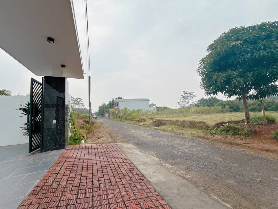 Đất nền Tiên Kiên 300m² giá 1.8 tỷ - Vị trí đắc địa thuận tiện!