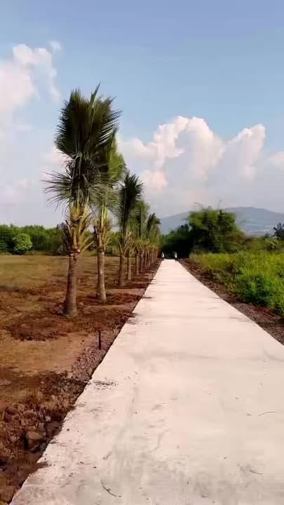 Đất nền Bảo Vinh Long Khánh 1000m² giá 950 triệu - Ven suối lý tưởng cho nghỉ dưỡng!