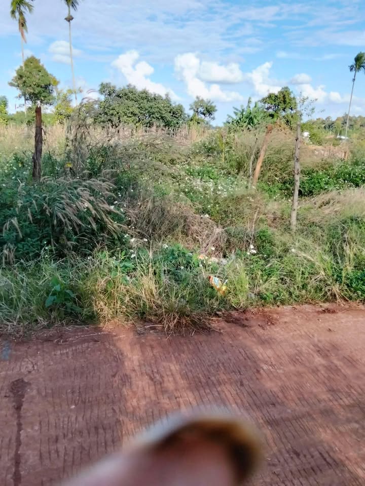 Đất nền 259m² tại Đức Mạnh, Đắk Mil - Giá chỉ 620 triệu - Đầu tư sinh lời!