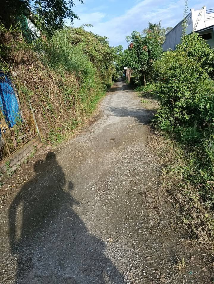 Đất nền An Xuyên Cà Mau 390m² giá 900 triệu - Cơ hội đầu tư tuyệt vời!