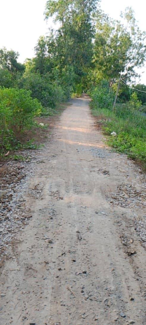 Đất nền Thủ Đức 1811m² giá 250 triệu - Chính chủ bán gấp!