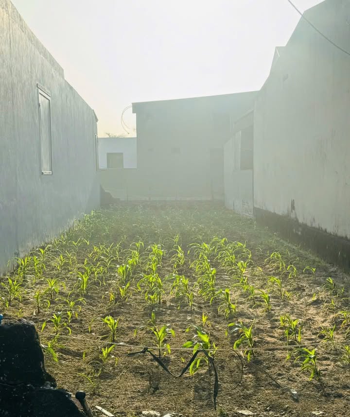 Lô đất Đa Lộc, Hậu Lộc 182m² giá 1.45 tỷ - Đầu tư sinh lời ngay!