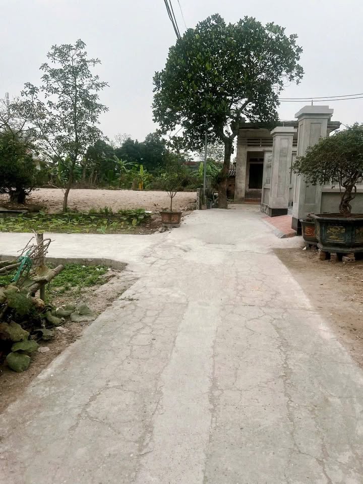 Đất nền Hồng Vân, Thường Tín 73m² giá 3.8 tỷ - Vị trí đắc địa, ô tô vào tận nơi!