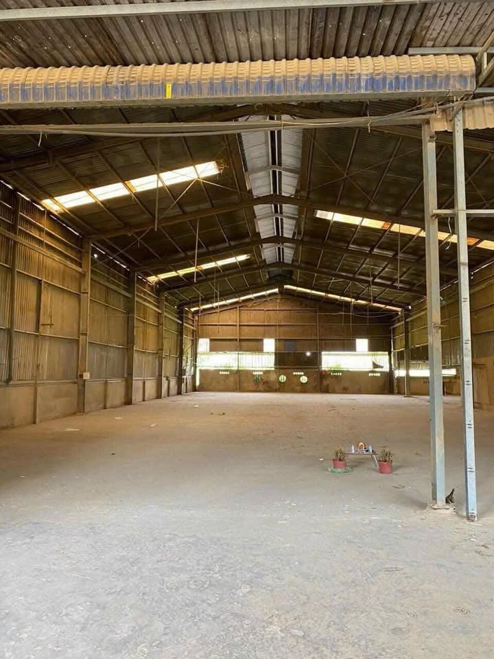 Xưởng 1400m² tại Phước Tân, Biên Hòa chỉ 7 tỷ - Hạ giá cực sốc!