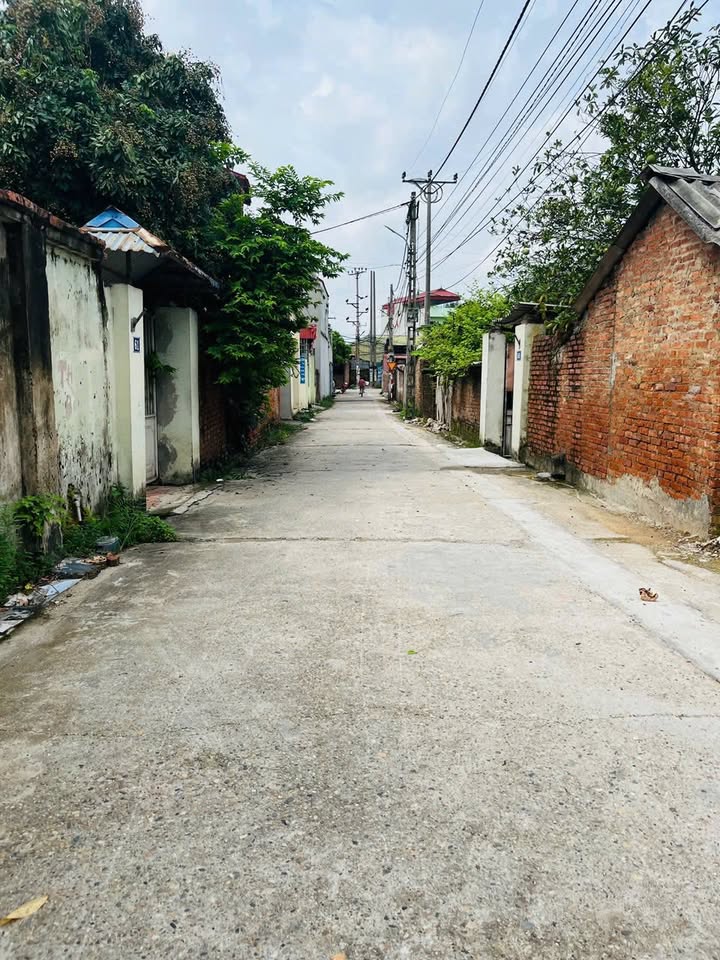 Đất nền Tiên Dược, Sóc Sơn, 82m² - Vị trí đẹp, giá rẻ đầu tư!