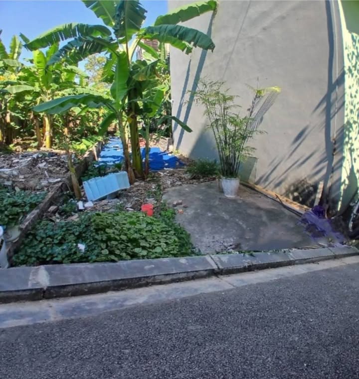 Đất thổ cư Vĩnh Thanh Đông Anh 80m² giá 4 tỷ - Sổ đỏ chính chủ, mặt tiền 4m!