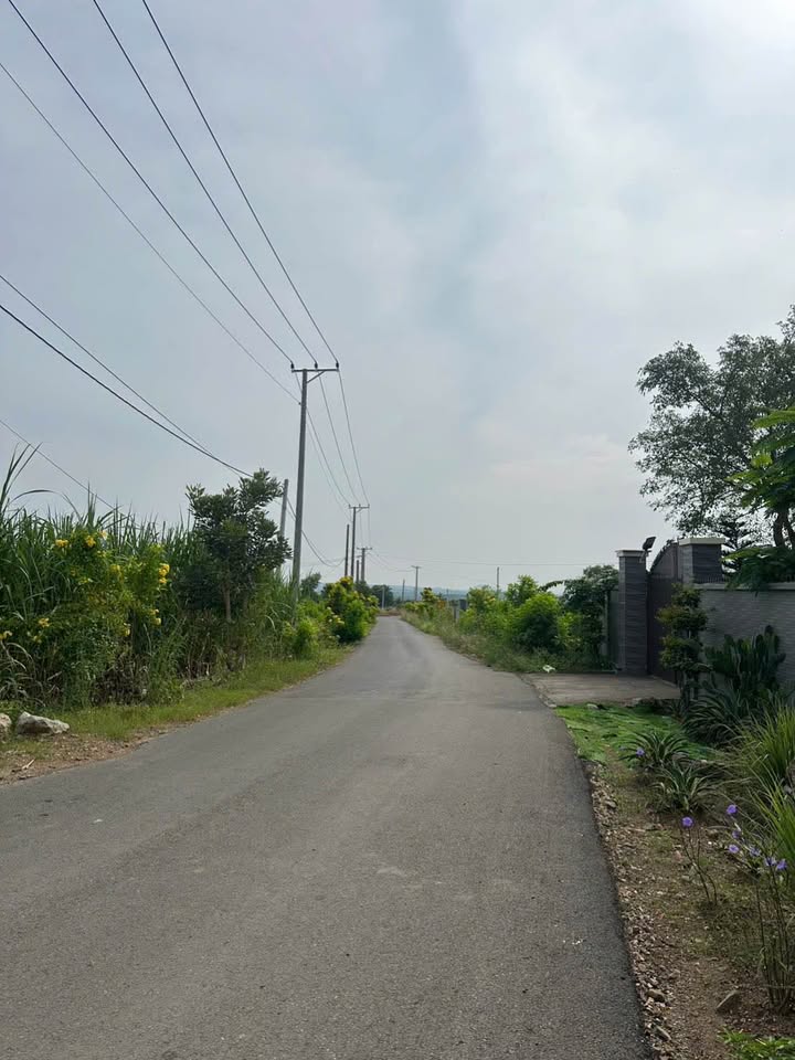 Đất thổ cư Suối Rao, Châu Đức, Bà Rịa - Vũng Tàu 540m² giá 1.299 tỷ - Sổ hồng chính chủ!